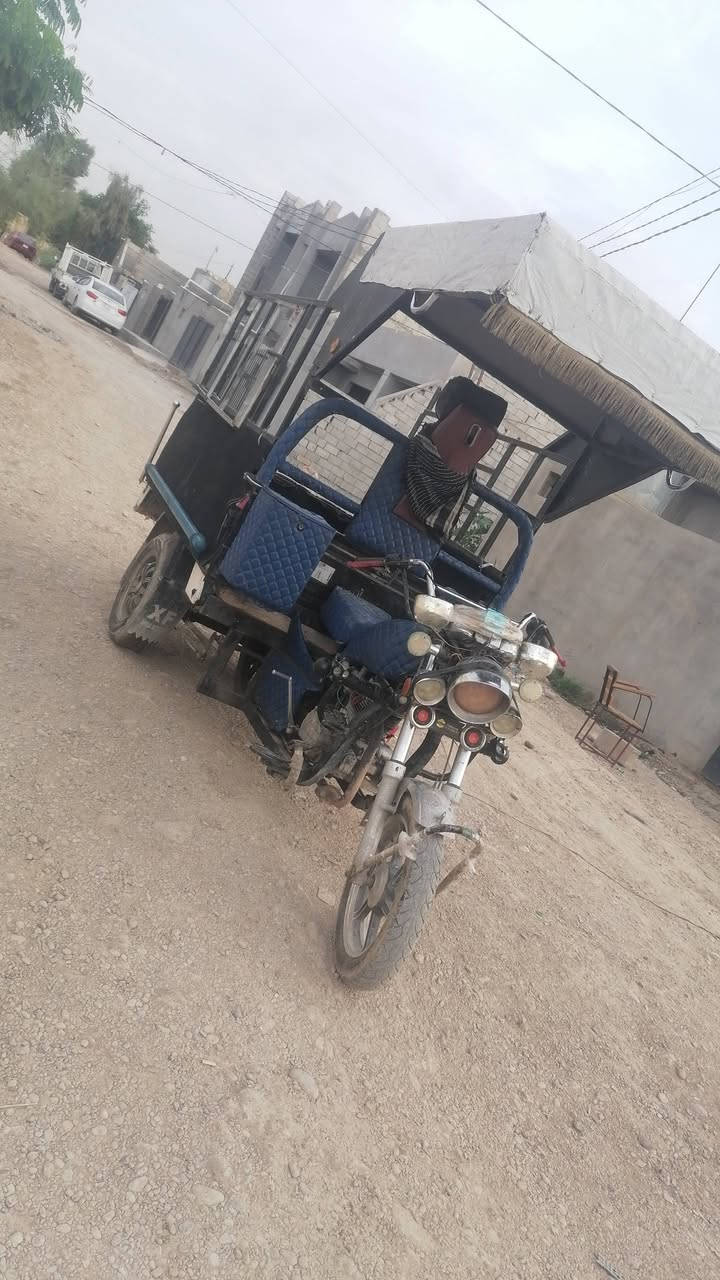 ستوته • ماكو تفاصيل • سعر