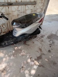 بريز • فحل • مكينة هادية