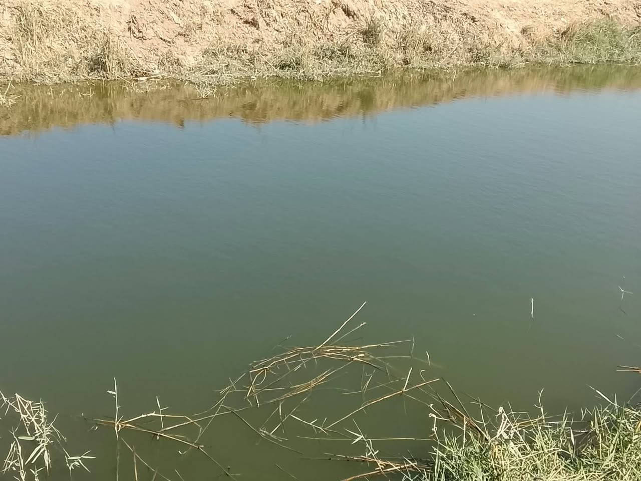 ٥ دونم • جامعة بابل • تبعد عن كهرباء ٧٥م