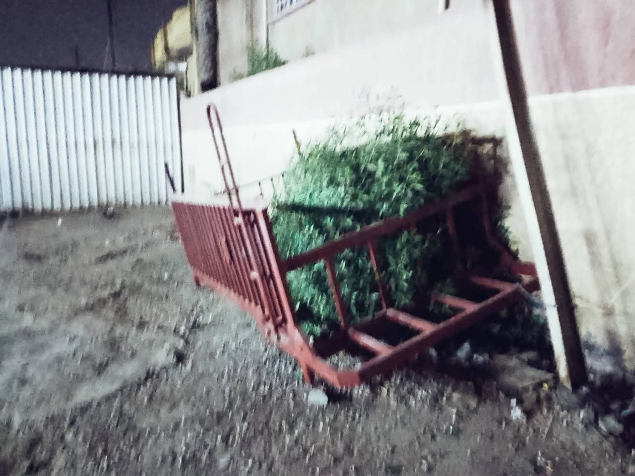 محجر مال كية حمل 2700  محجر درجة الاول البيع السعر 600 وبي مجال بسيط رقم الهاتف *********** العنوان بغداد مدينة الصدر لاورفلي
