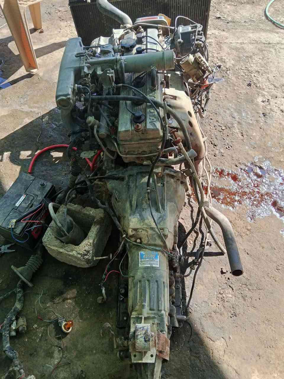 من رخصت لدمن عندي تحورة ونجي لبيع لاتنقيص ولا بخار مكينة مكفولة ضفيرة ولعقل كاملة ولكير بس لبك ميجي مكطعة وايرات يمكن ربك ماعرف بعد لبيع سعر 700وبيهة مجال مكاني بغداد ابو غريب ***********

