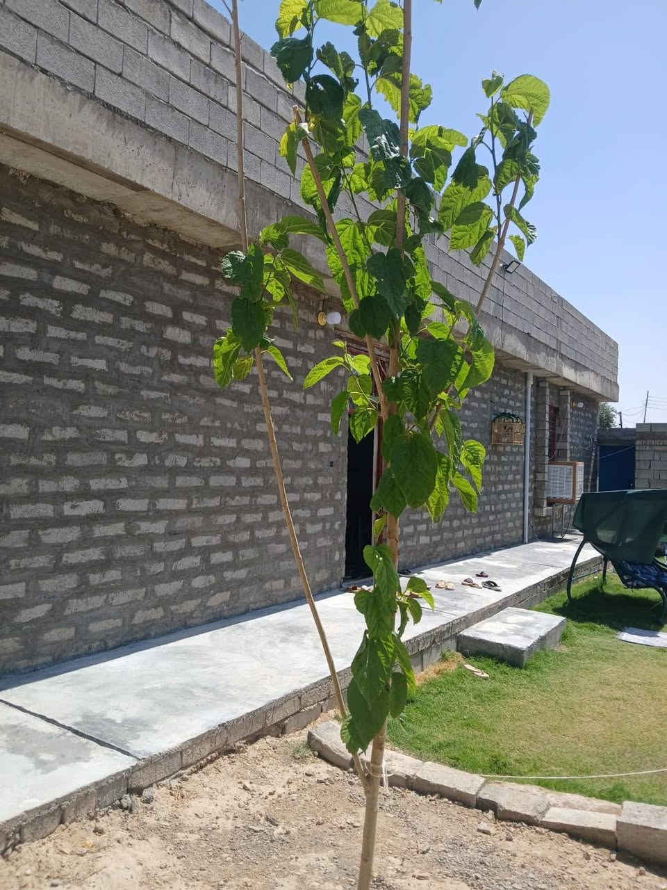 دار سكني
سامراء الطيوب
المساحة الكلية ٥٠٠ متر
مساحة البناء ٢٤٠ متر 
غرفتين نوم ملحقات كامله 
السعر عل خاص او *********** موجود وتساب
