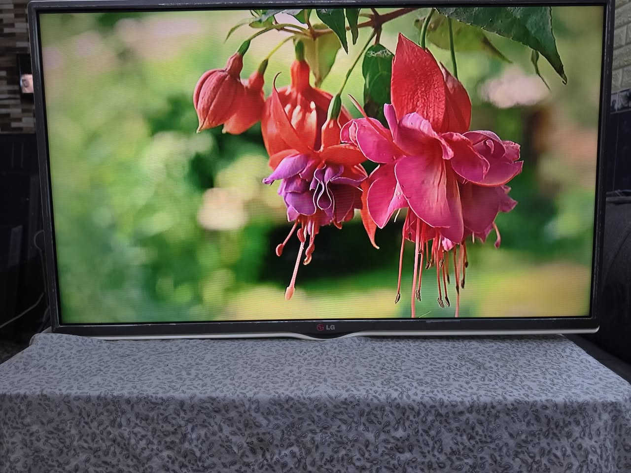 LG • ٣٢بوصة • بدون نت