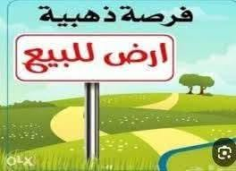 طابو زراعي • ١٥٠م • الهاشميه