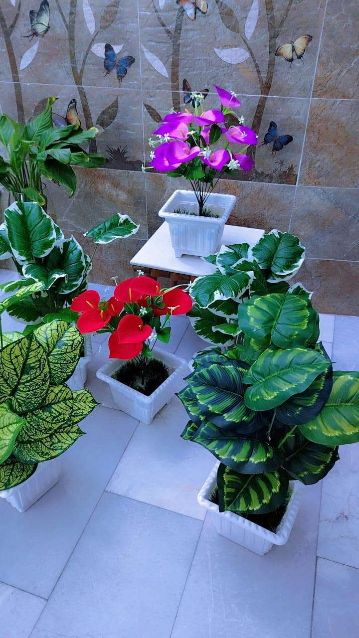 سوق الذهب قرب مجمع آل ياسين 
للاستفسار الاتصال بالرقم 
*********** واتساب
بإدارة حسن ميزي 
توجد خدمة التوصيل مجانا
