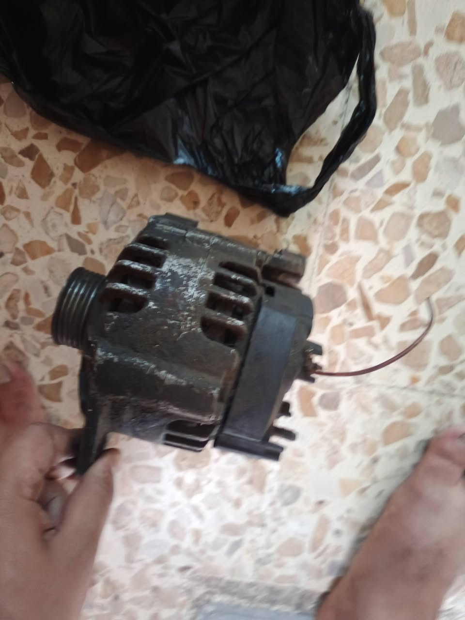 داينمو • بيجو بارس • ساحه القاء