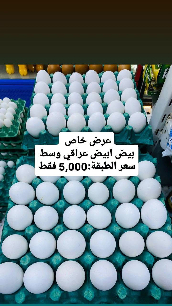بيض أبيض عراقي • بيض أحمر عراقي • قيمر عرب أبيض