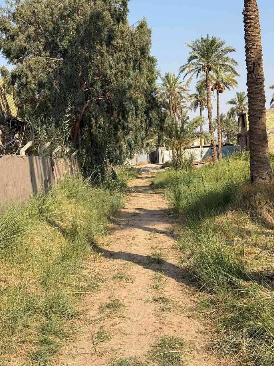 قطعه ارض للبيع العنوان كربلاء طويريج خلف البانزين خانه مال ابو جوعانه سند ٢٥  المساحه ١٣٤٠متر (واجهيه٢٠م*نزال٦٧م) للأستفسار الاتصال على الرقم التالي *********** رجاً الموشراي لايتعبني
