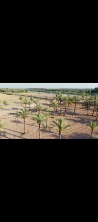 ٢٠ دونم • شاطئ دجلة • سند ٢٥