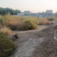 المثلث • قطعة أرض • ١٠٠م