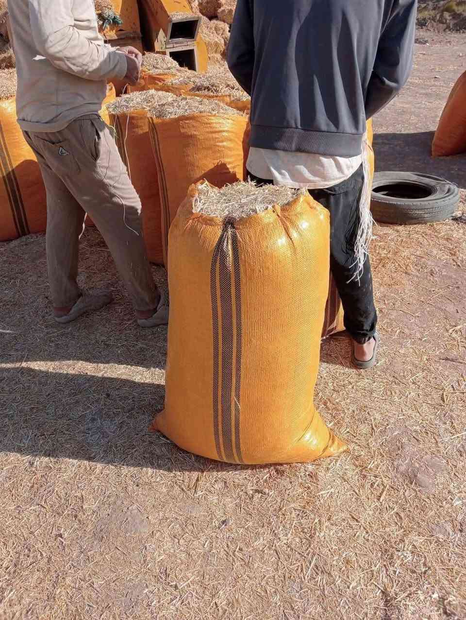 تبن للبيع درجه اوله مكفول من كلشي بسعر رخيص اتصال*********** ***********و مراسله خاص يوجد جميع القياسات توصيل مجاني (بابل ديوانيه طويريج بدر وجصان  كربلاء واسط بغداد )
