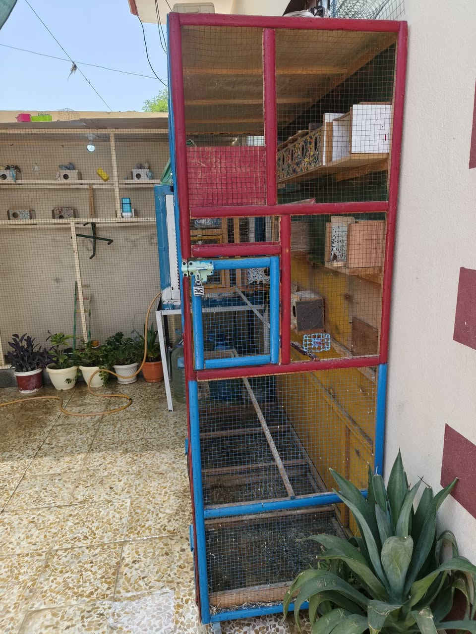 للبيع قفص بلابل نضيف ويا البيوت كامل معالف طول متر 50 / ارتفاع متر 70 / عمق 60 مكاني 
موصل الايمن تل الرمان 
سعر 40 
***********
