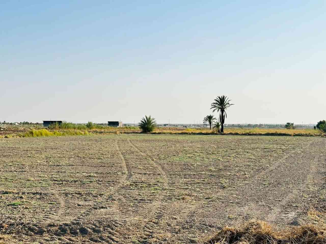 زنكورة الرمادي • ٢ دونم • طابو زراعي