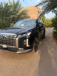بليسايد كلكرافي • ٢٠٢٤ • وارد أمريكي