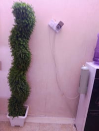 زرع اصطناعي السعر 25 العنوان بغداد الجديدة للتواصل 07750646946