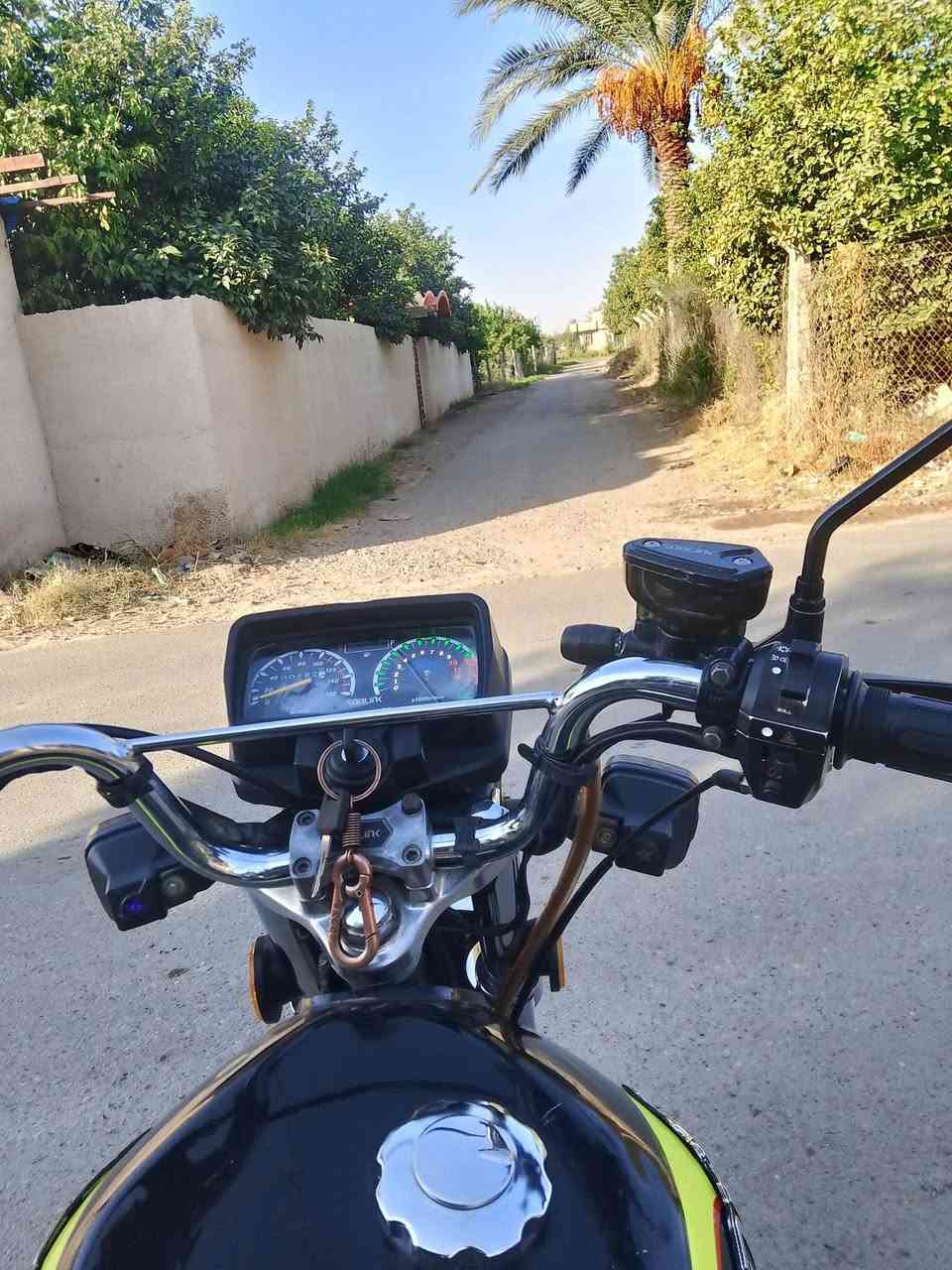 ٢٤