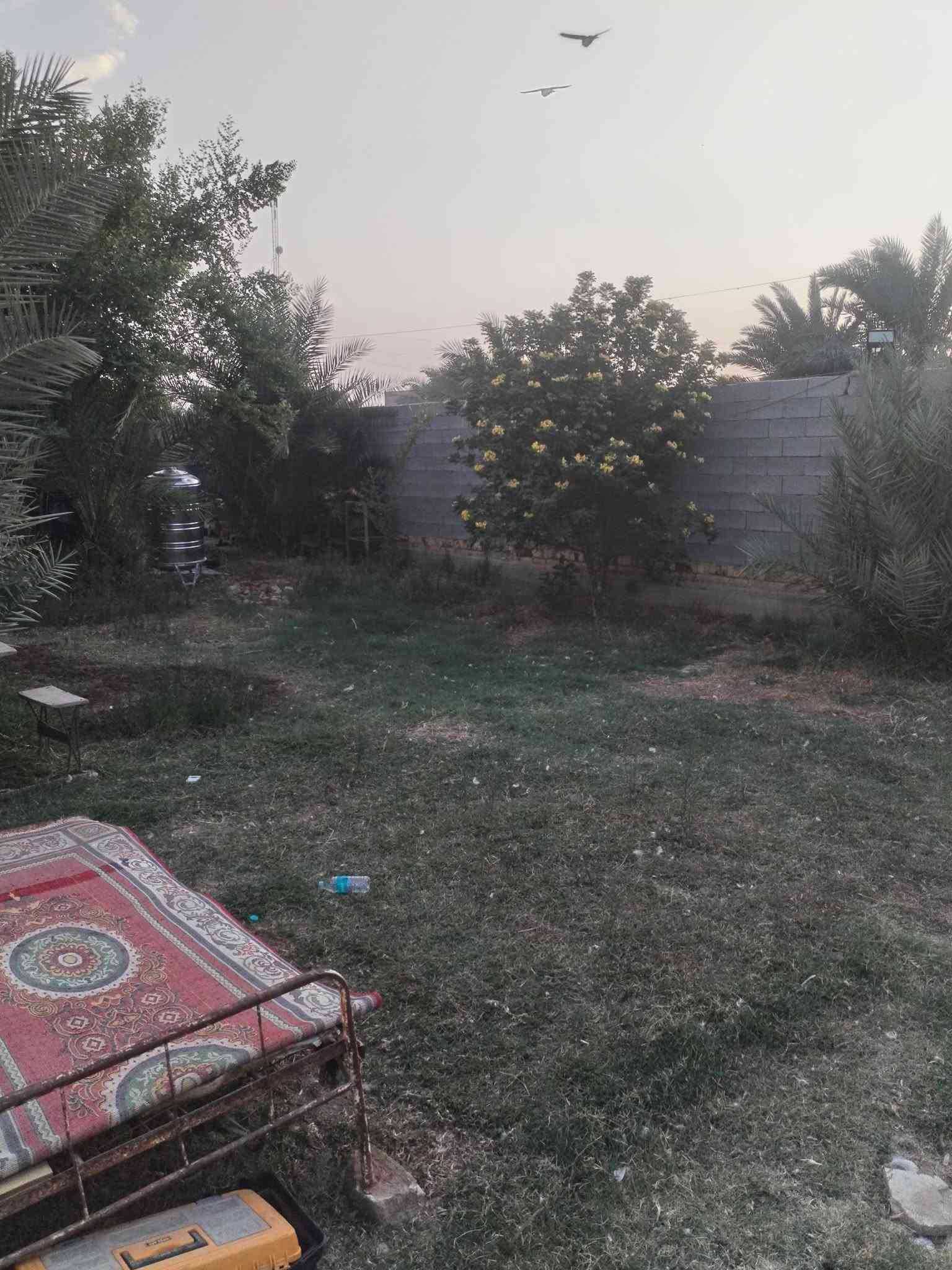 بيت زراعي • ٩٥٠م • بناء حديث