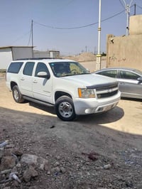 يوكن • فحل ٨ • تحويل ثاني يوم