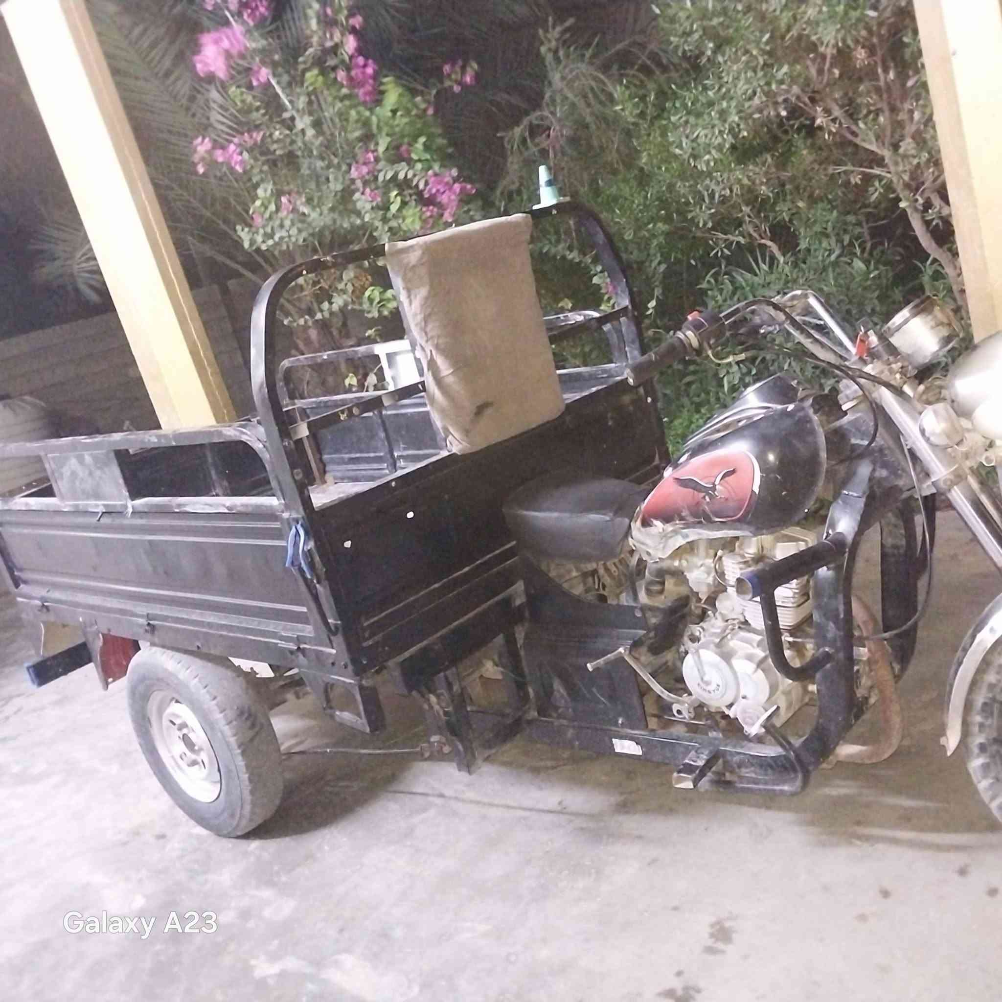 ستوته • ام الطير • كهرباءيات
