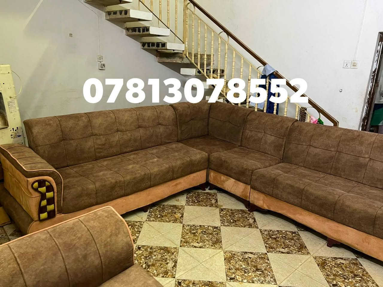 تخم ديوان للبيع نضيف 10 نفرات السعر 195 تسكام *********** واتساب اكو توصيل بلكروه نجف *********** نجف اكو توصيل بلكروه نجف *********** نجف
