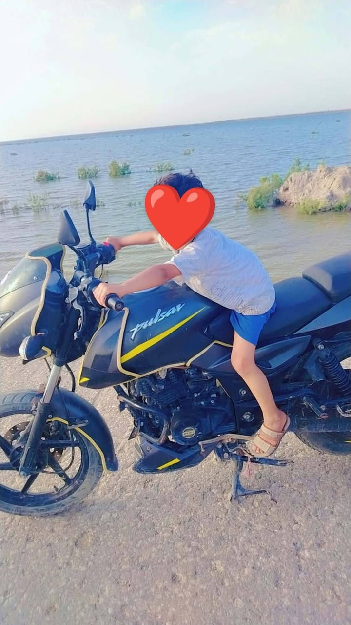 بولسر • اوراق • ٢٠٢٢