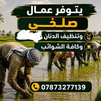 يتواجد فريق عمال صلخي وفروك 🌾  ويريد عمال يتصل ع هذا رقم///  ‏ ‪078732...