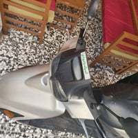 فراشه فحل • نضيفه • حاويه