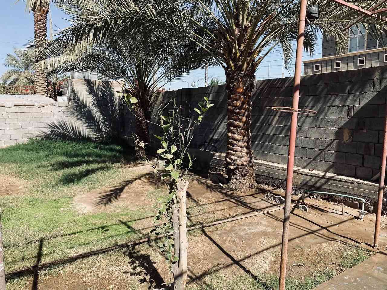 🏠 للبيع دار سكنية في الرمادي 

🔹 الموقع: الأنبار – الرمادي – الخمسة كيلو – حي السكك
🔹 مساحة الدار: 300 م² واقع حال 360 م² 
🔹 مساحة البناء: 150 م² تقريبًا
🔹 عدد غرف النوم: 3
🔹 عدد الحمامات: 1
🔹 الطوابق: طابق واحد + بيتونة
🔹 كراج: يتسع لسيارة واحدة 🚗
🔹 عرض الشارع: 10 متر
⭐ مميزات العقار:
🌳 حديقة أمامية وجانبية
🌴 أشجار نخيل ومساحات خضراء
🏡 سطح وبيتونة
🌿 الدار مقابل حديقة عامة كبيرة
📍 قريب من الشارع الرئيسي
💧 ماء متوفر
⚡ كهرباء متوفرة
🚰 مجاري متوفرة
💰 السعر: 100 مليون دينار عراقي قابل للتفاوض

📞 للاستفسار والتواصل: ***********
