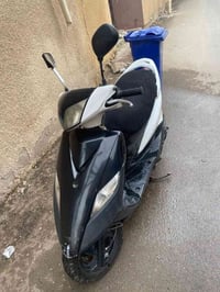ثعلب • ترايك • معدل فول