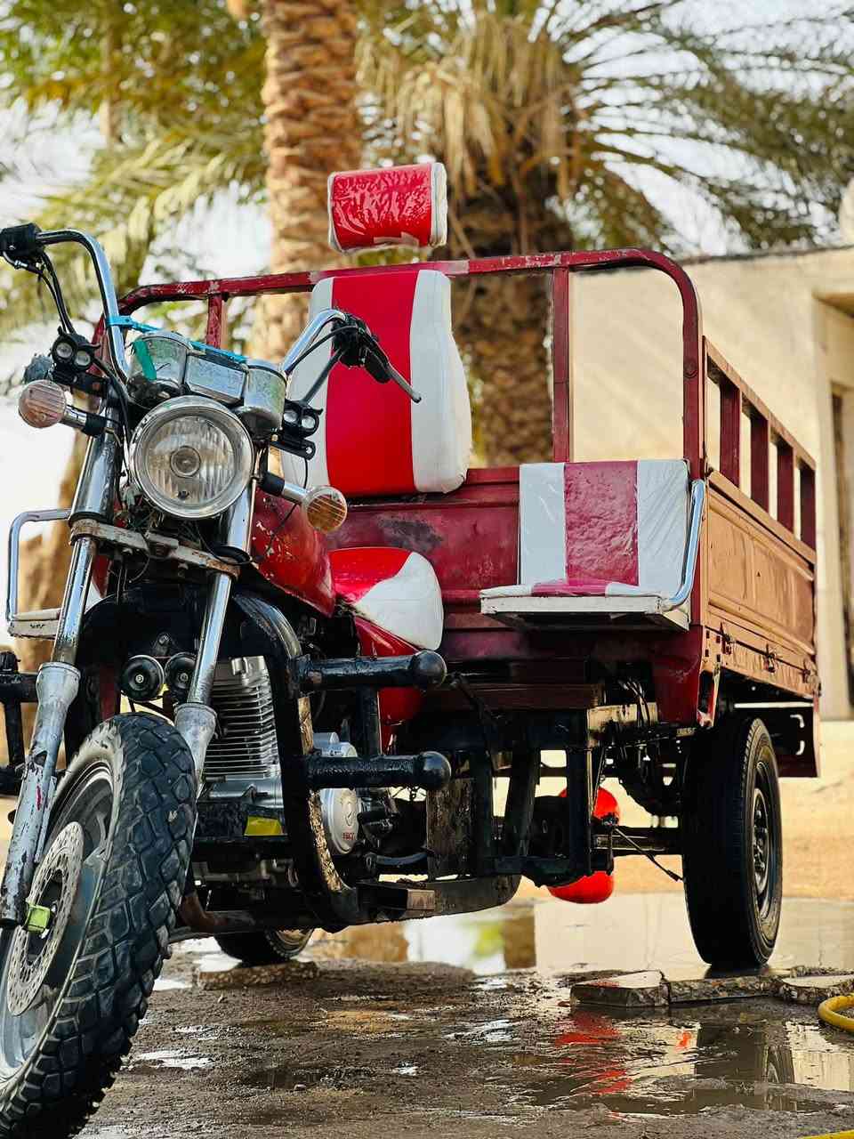 ستوته • مديل 13 • أوراق أصلية