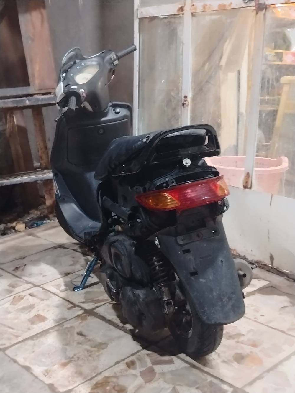 فراشة • فحل • نجف