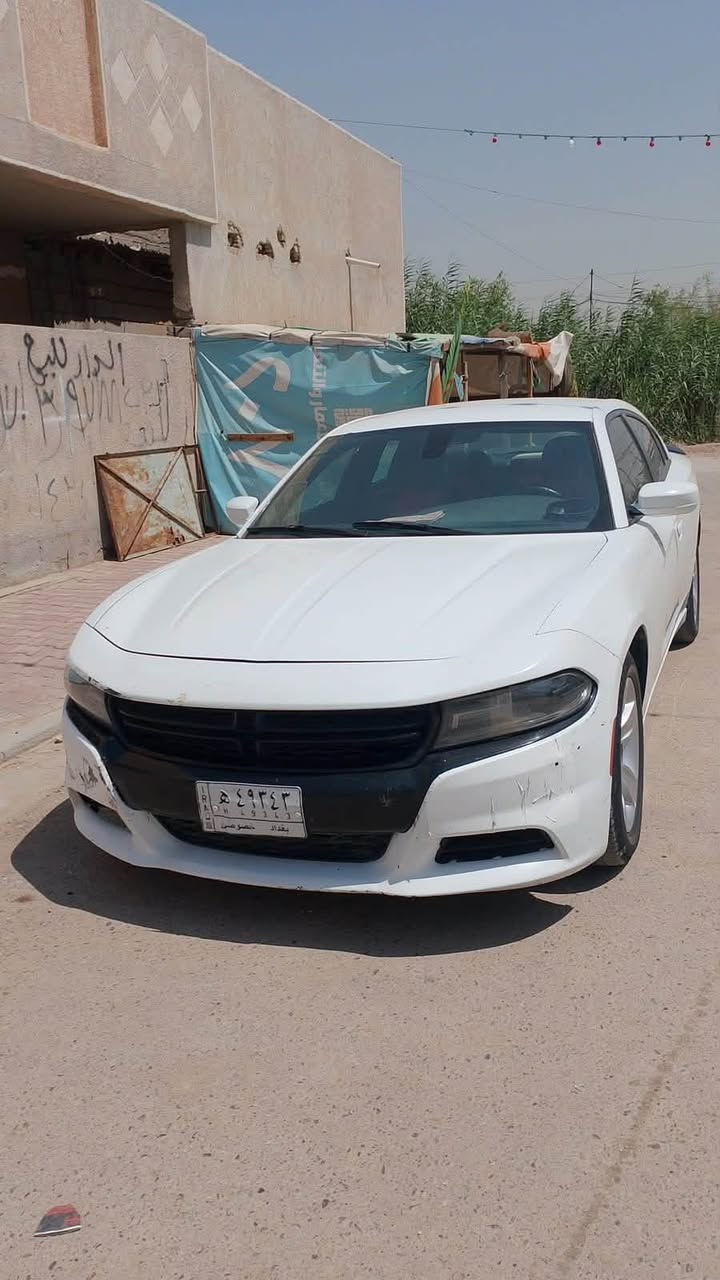 جارجر ٢٠١٩ • صبغين • داخل جلد