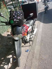 بوكسر جبلي • ٢٣ • سلف