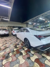 النترا • ٢٠٢٤ • رقم اربيل