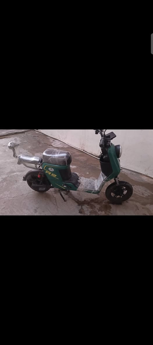 R9 • نخلة البصرة • بدون بطاريات