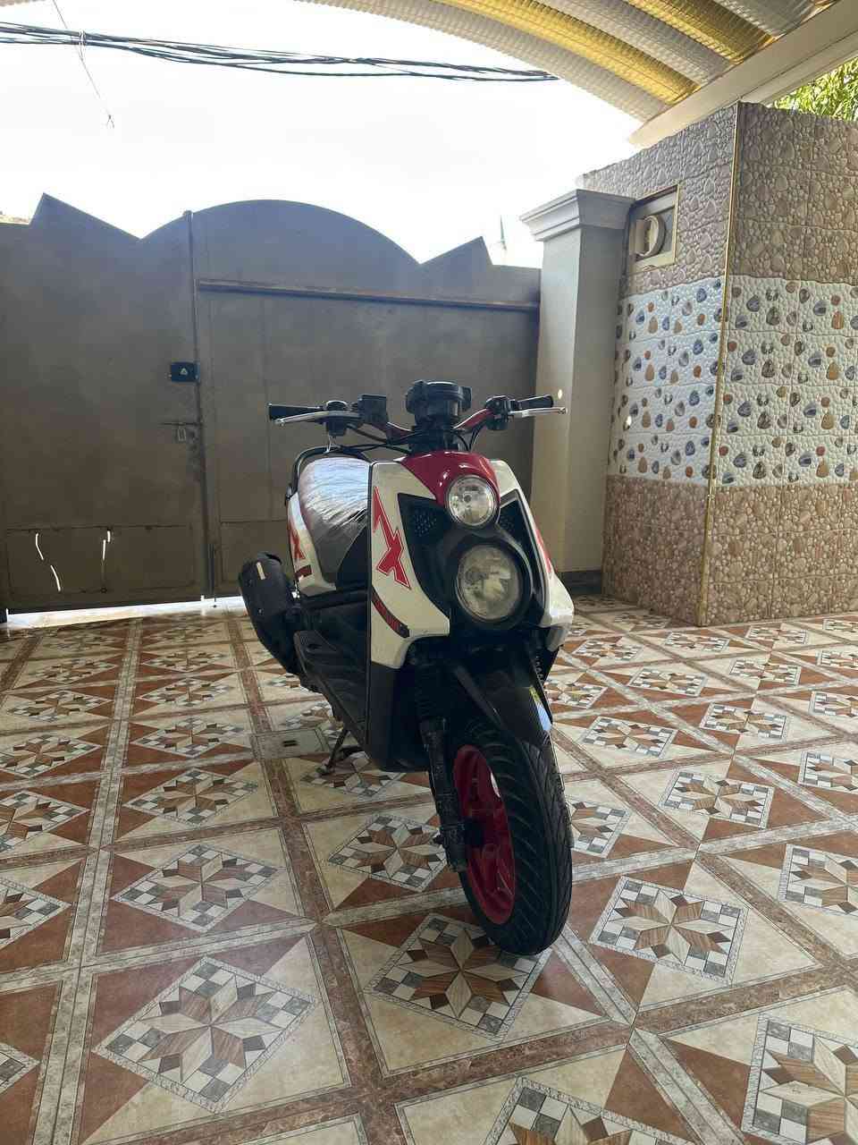 سكنس جبلي • مكفولة • ختم واحد