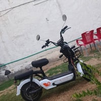 دراجة شحن • بدون بطارية • بابل العيفار
