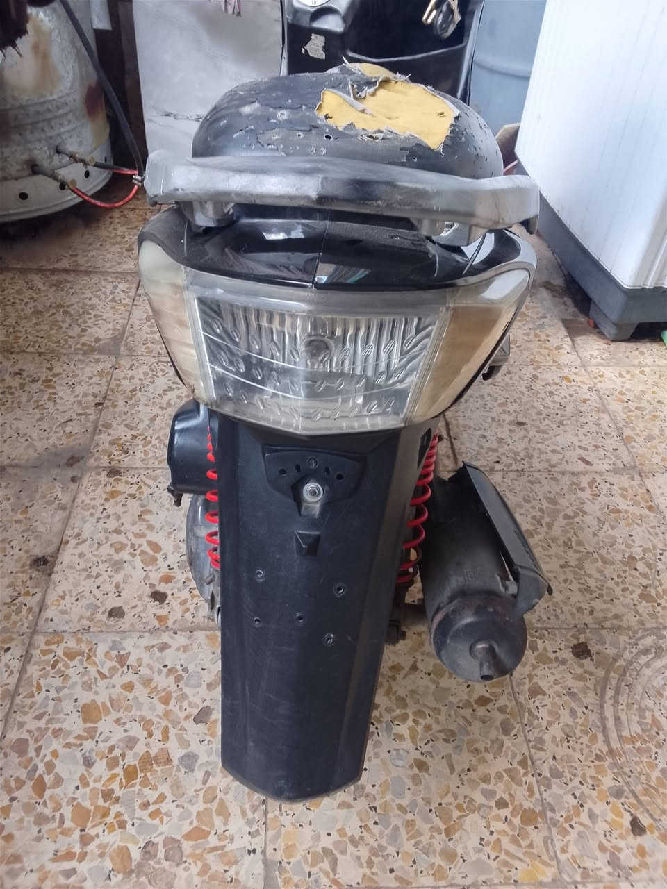 سكنس فحل • شغالة • سلف هندل