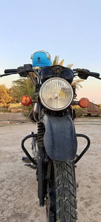 بوكسر • جبلي • مرقم