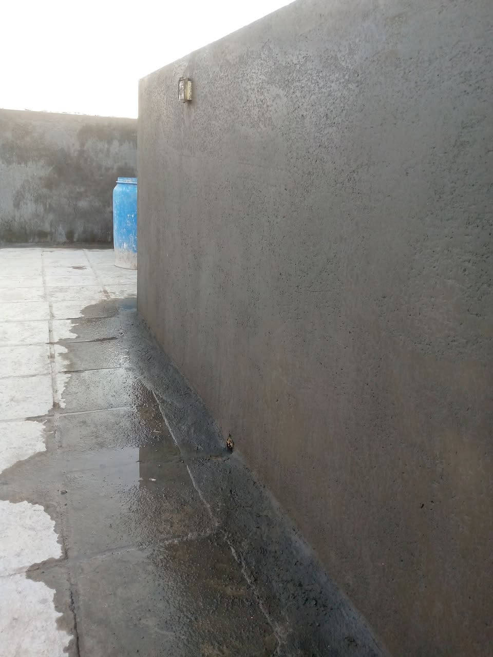 ناصريه
لباخ متفرغ ***********

