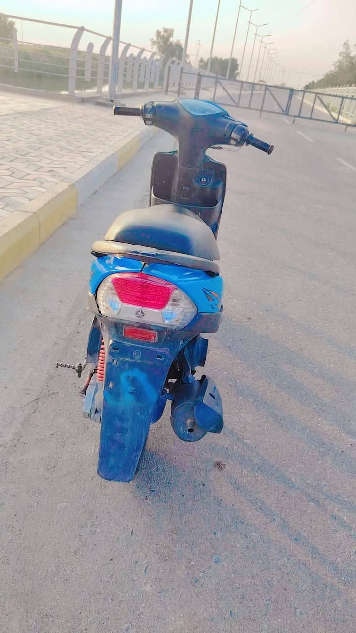 ماكس عدلة • اوراق • فيديو
