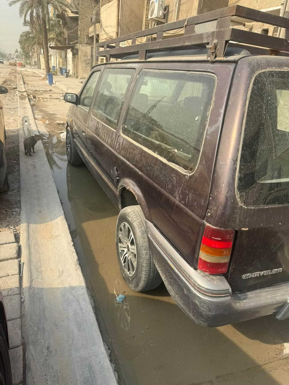 دودج • رقم بغداد • بغداد