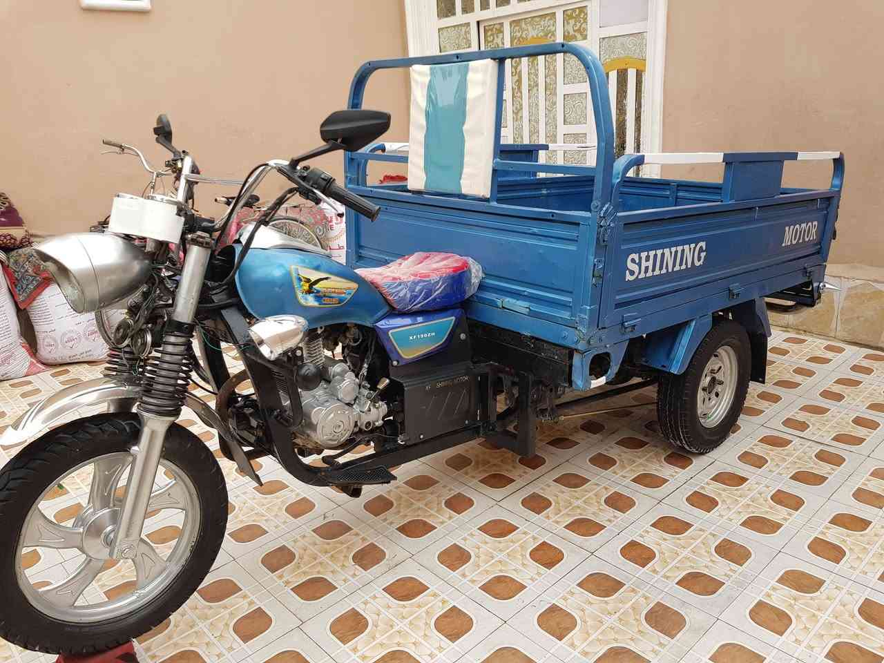 ستوته • جاهزه • دوانيه