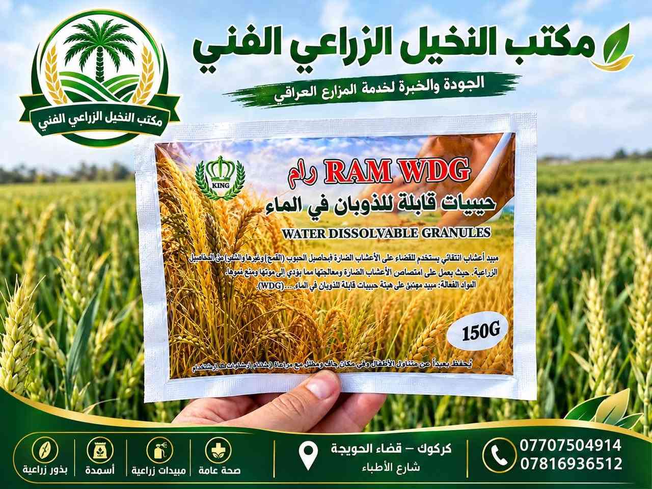مبيد رام • ادغال الحنطة • كركوك الحويجة