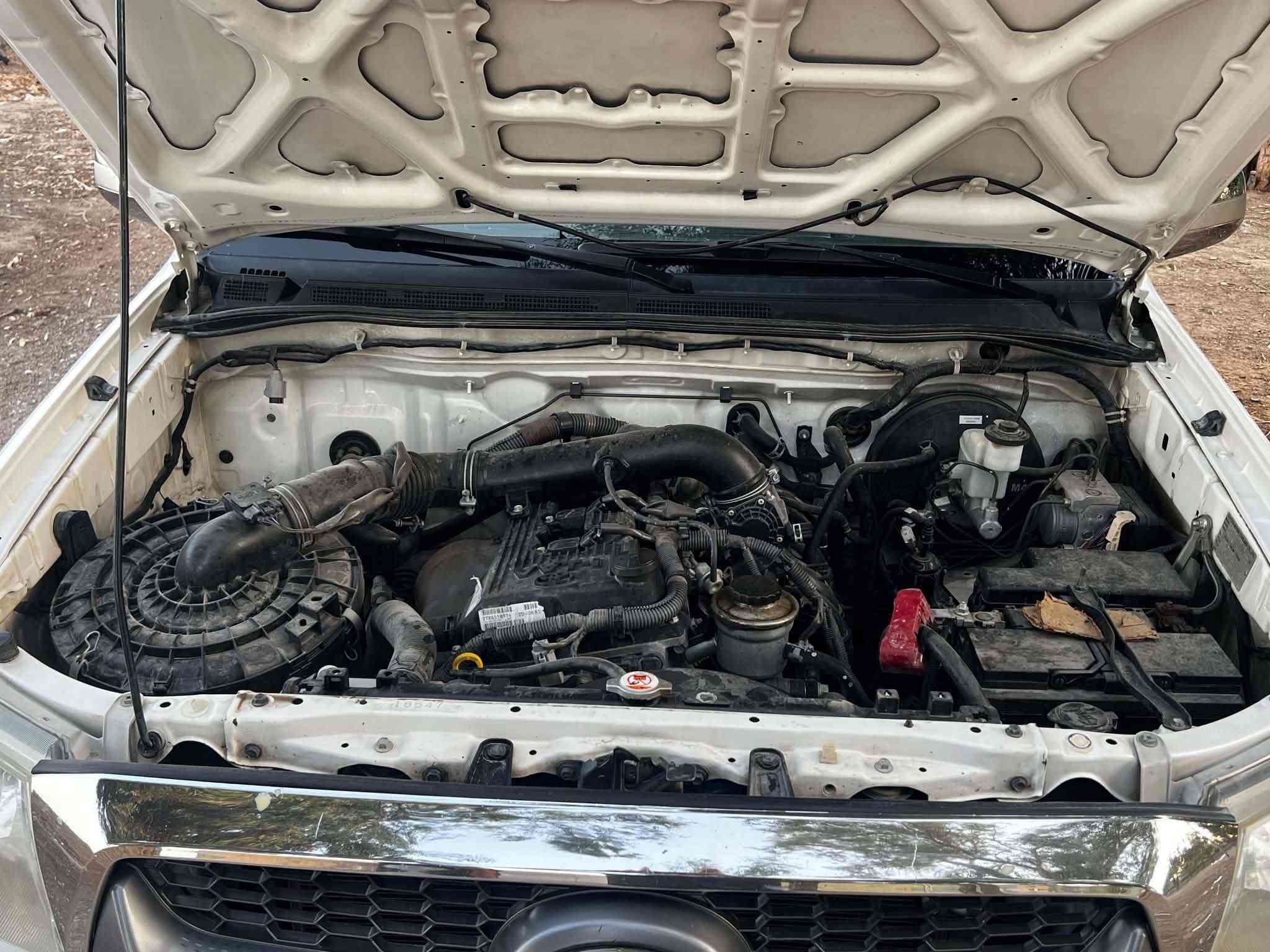 فلاحي • ٢٠٠٨ • بدون صبغ