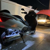 فورزه 8.0 • مكفوله • زنون