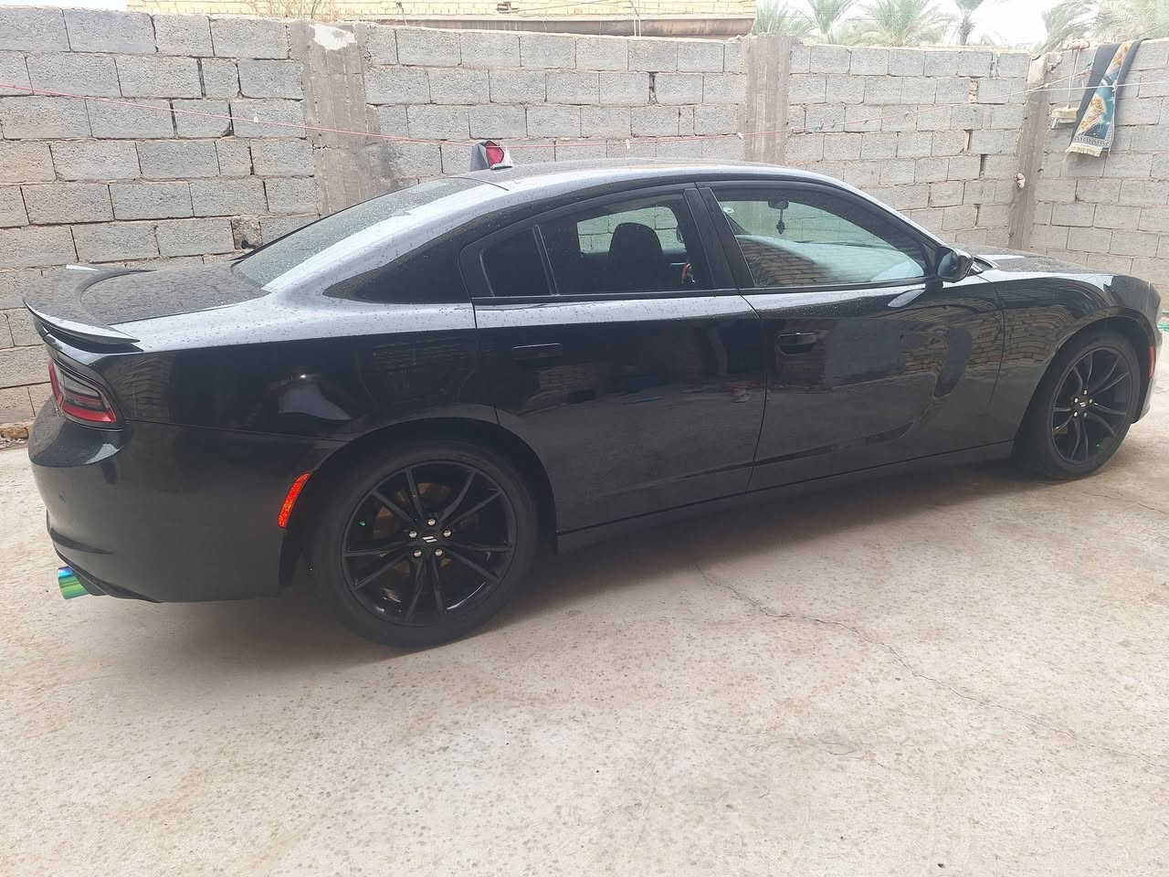 تشارجر SXT • ٢٠١٩ • رقم اربيل