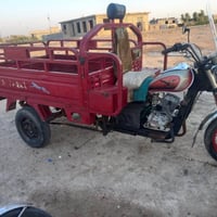 ستوته صقر • فحل • ٢٠١٩