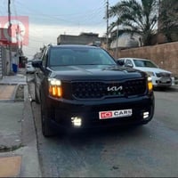 تلورايد • ٢٠٢٤ • شهداء