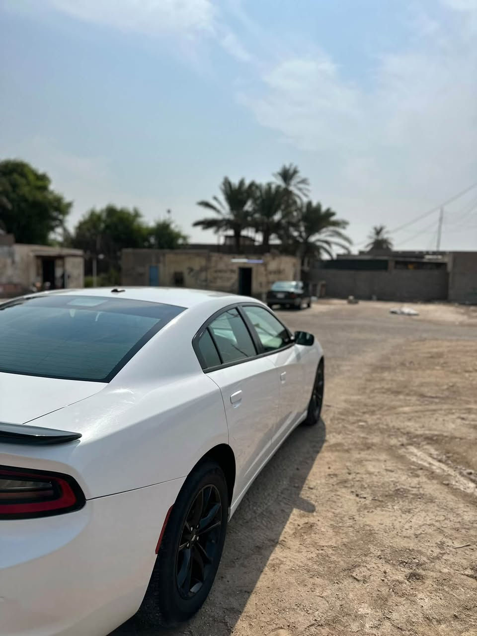 تشارجر SXT • ٢٠١٩ • رقم بصره